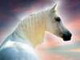   white_horse